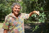 Man demonstrates how easy it is to access bush tucker