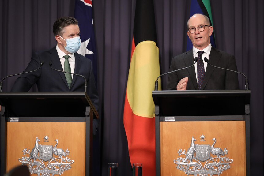 Mark Butler and Paul Kelly stand at lecturns in Parliament House