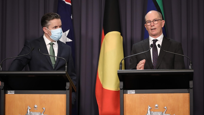 Mark Butler and Paul Kelly stand at lecturns in Parliament House