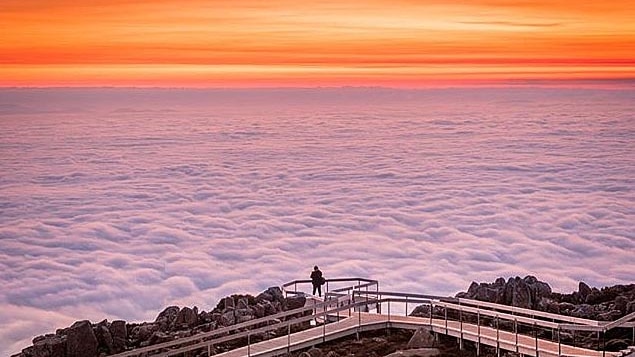 A woman on top of Mt Wellington in Hobart looks out over cloud covering the city below