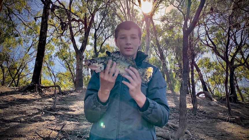 Why the Murray River is my sanctuary