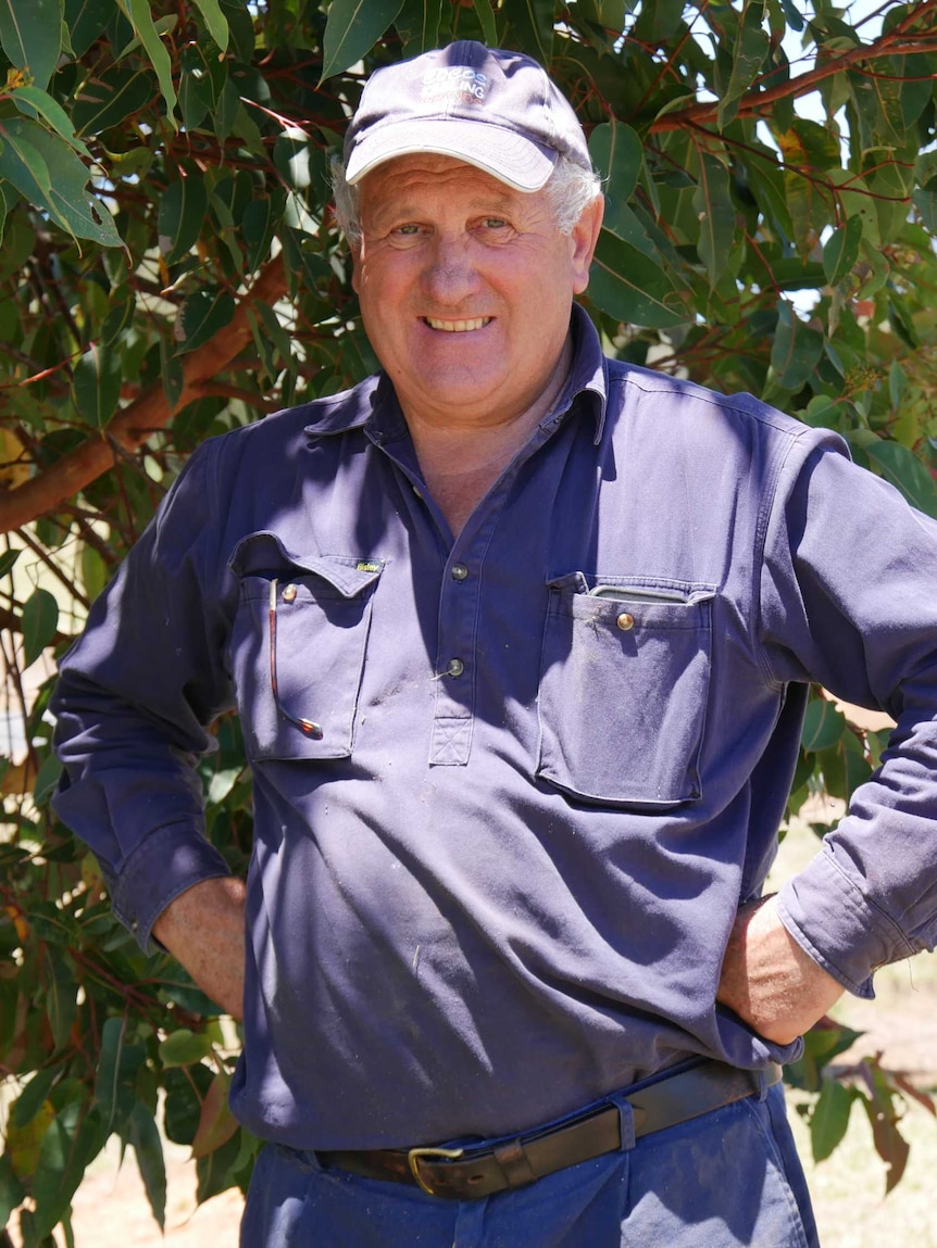 A man with a purple hat and shirt stands in front of trees.