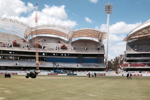 Final preparations for the Adelaide Oval pitch