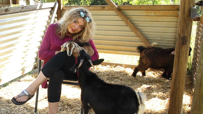 ABC presenter Sheridan Stewart sits on a chair with a baby goat on her lap.