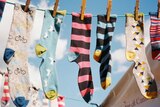 Socks hang outside on a clothes line on a sunny day.