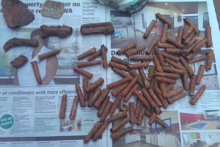 A pile of what looks to be bullets lies on newspaper after being found on a Broome beach