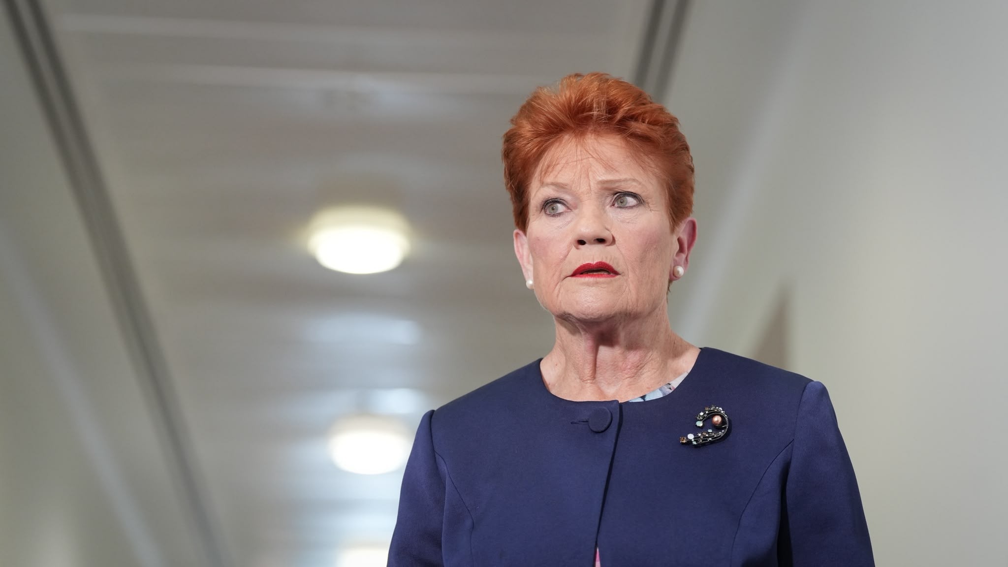 Hanson apologises if she caused offence by Indigenous Australian remarks - ABC News & Headlines – Australian Broadcasting Corporation