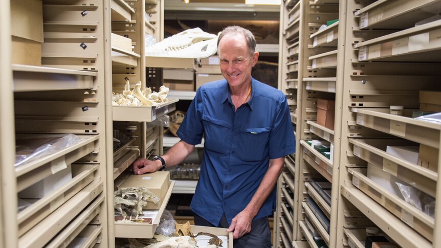 Patrick Couper standing in the collections section of the Queensland Museum