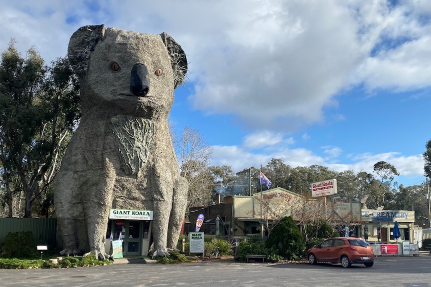 A giant concrete koala statue dwarfs a small shop beside it.