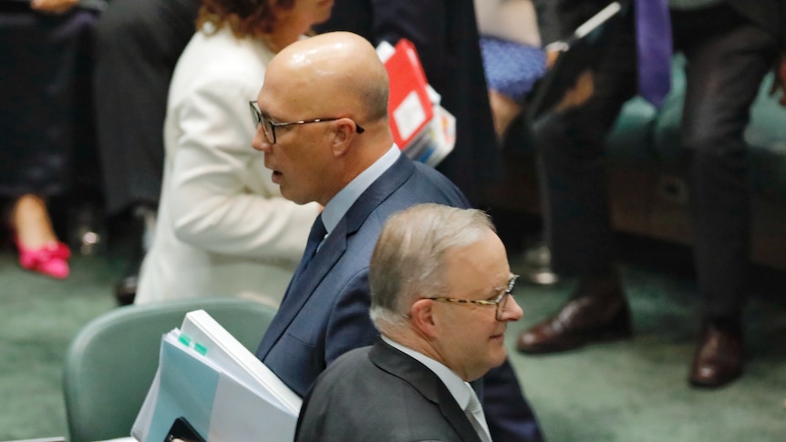 Peter Dutton and Anthony Albanese cross paths in the House of Representatives. 