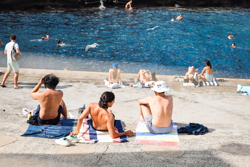 a group of swimmers lying on towels beside a rock pool in sydney