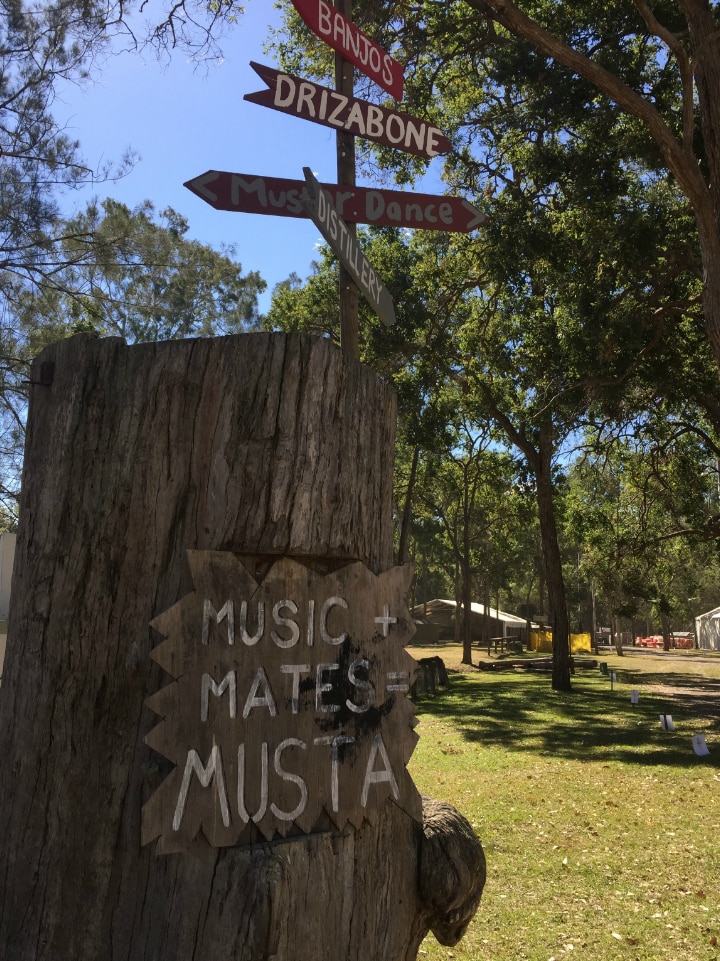 Tree stump with signs including "Music, Mates, Musta"