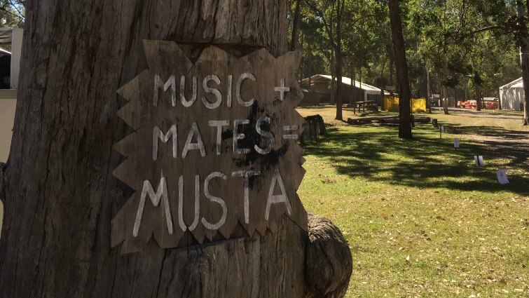 Tree stump with signs including "Music, Mates, Musta"