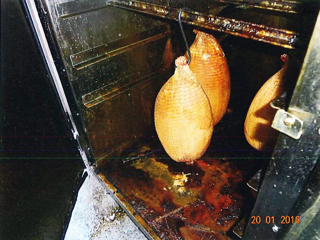 Pest-infested, filthy eateries going years without inspections in ...
