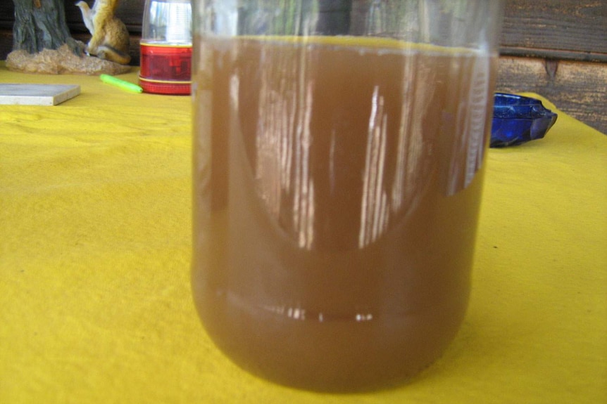 A sample of water from the Glenwood area on south-east Queensland's Fraser Coast in March 2014.
