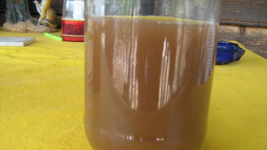 A sample of water from the Glenwood area on south-east Queensland's Fraser Coast in March 2014.
