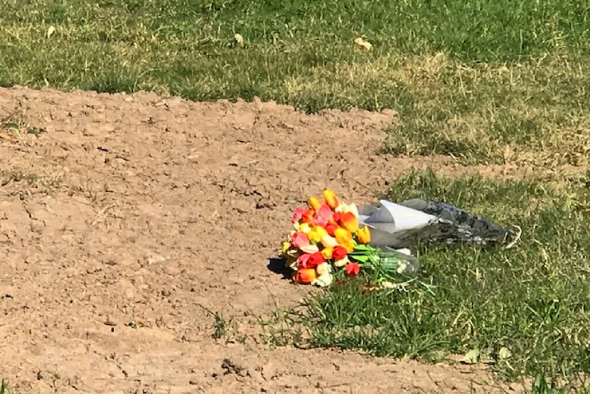 Flowers lay on the ground that was dug for the animals that passed.