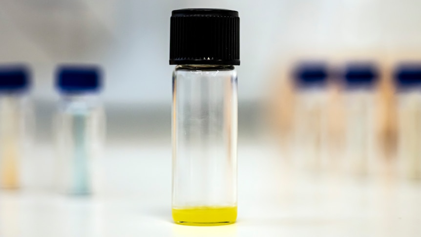 Yellow fat in a vial. 
