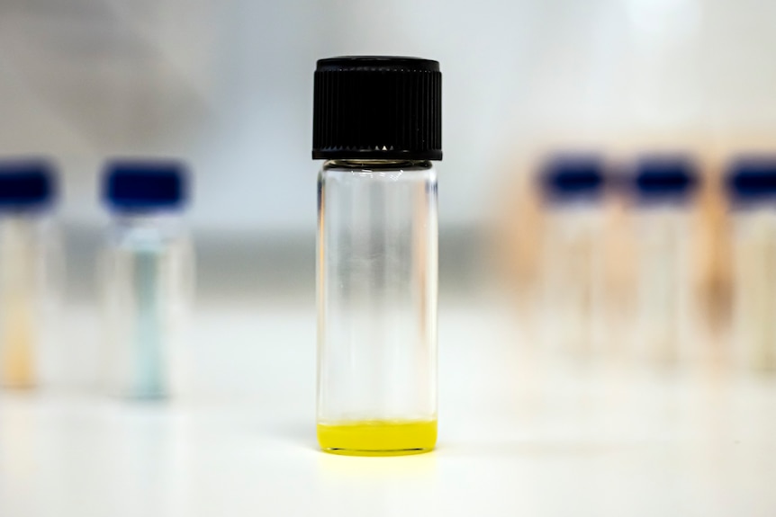 Close-up of fat in a vial produced by fermenting microorganisms (1)