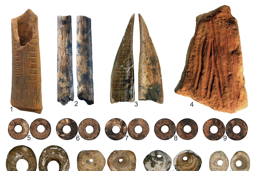 Mint condition artefacts found in the Panga ya Saidi cave, symmetrically arranged and numbered