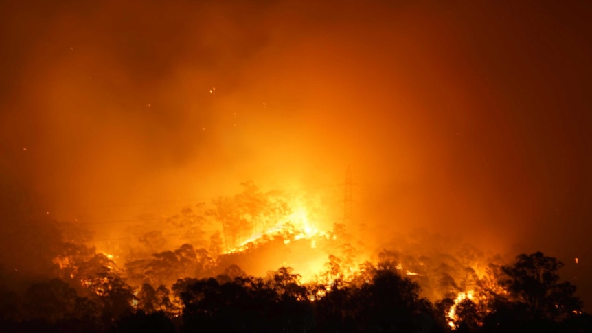 A bushfire burns at Yellow Rock Reserve.
