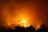 A bushfire burns at Yellow Rock Reserve.