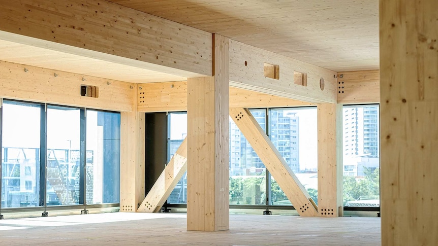 The inside of a building construction where timber is used in the design.