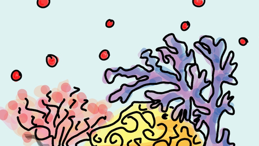 Drawing of a coral reef with gas bubbles coming out of it.