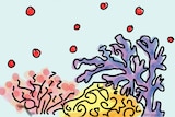Drawing of a coral reef with gas bubbles coming out of it.