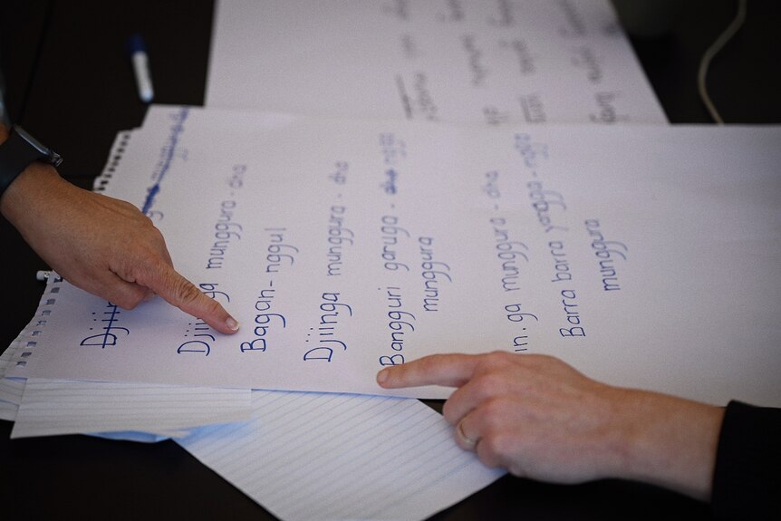 Two hands on each side of a large piece of paper, pointing to words in Dhurga language.