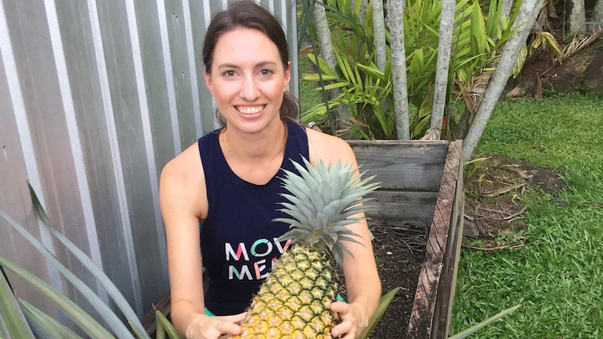 Photo of a 6.8kg giant pineapple growing in a garden