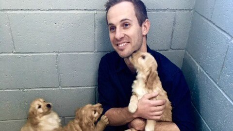 Matt Hams from Banksia Park Puppies