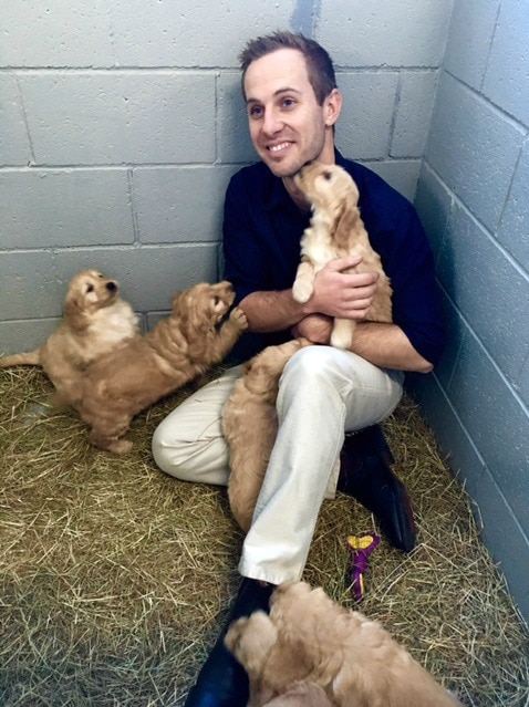 Matt Hams from Banksia Park Puppies