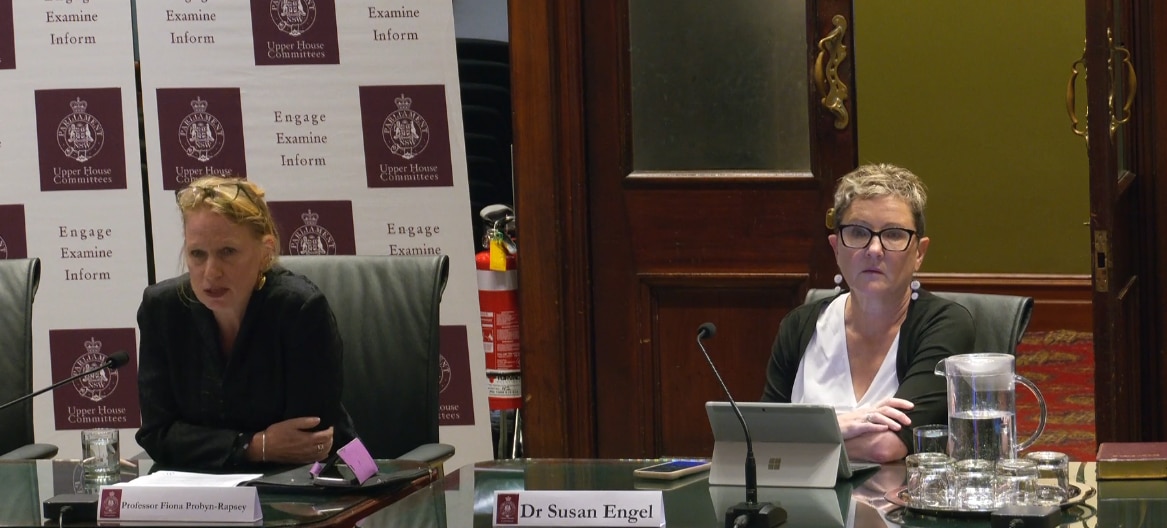 Dos mujeres están sentadas ante un escritorio, la de la izquierda habla.