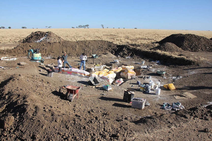 Staff digging at site near Winton where sauropod skeleton found