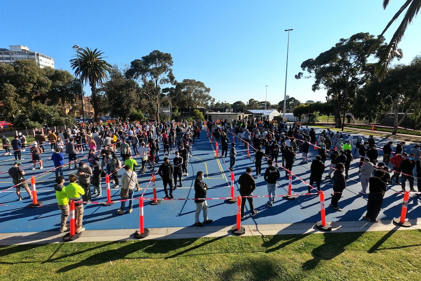 A series of winding queues fill a blue public park space under a sunny spring sky.