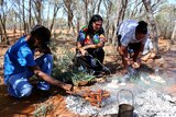 Aboriginal people cooking some bush tucker.