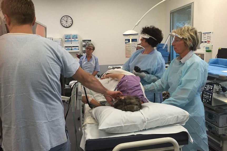 Nurse endoscopist Lea Wiggins (centre with dark hair) performs a colonoscopy on a patient
