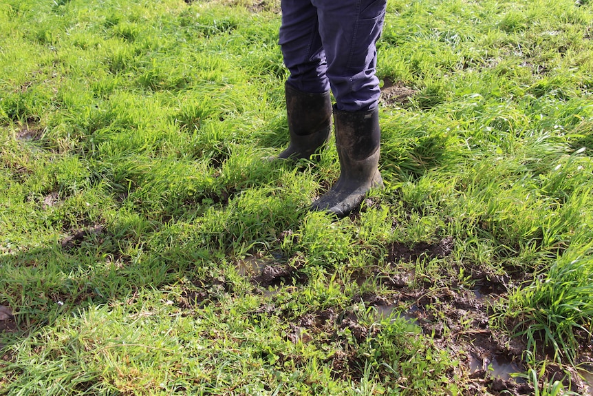 Legs and boots standing in mud and grass