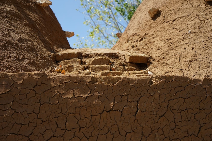 A close up of a mudbrick wall, which reveals the tiny cracks in the mud-rendered wall.
