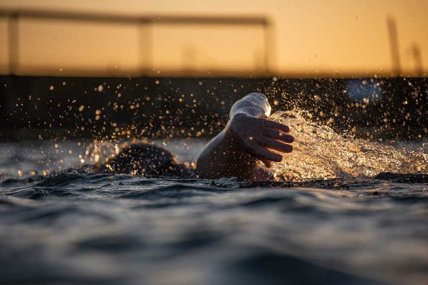 Paul Smith swimming in profile at sunrise