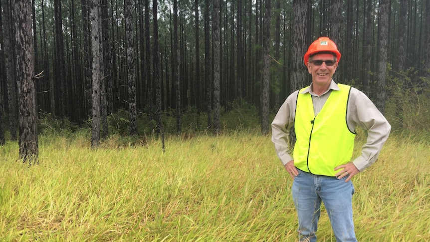 HQPlantation's Michael Robinson stands before a pine forest plantation