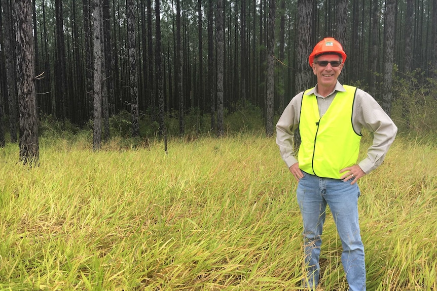 HQPlantation's Michael Robinson stands before a pine forest plantation
