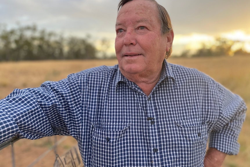 A man in checkered shirt stands in a paddock with his arm on a fence.