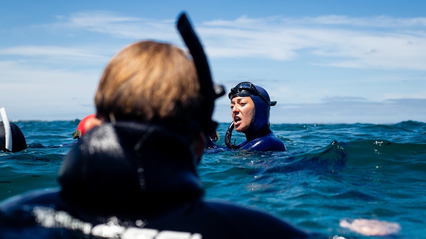 A woman in a wetsuit speaks to divers in the open ocean.