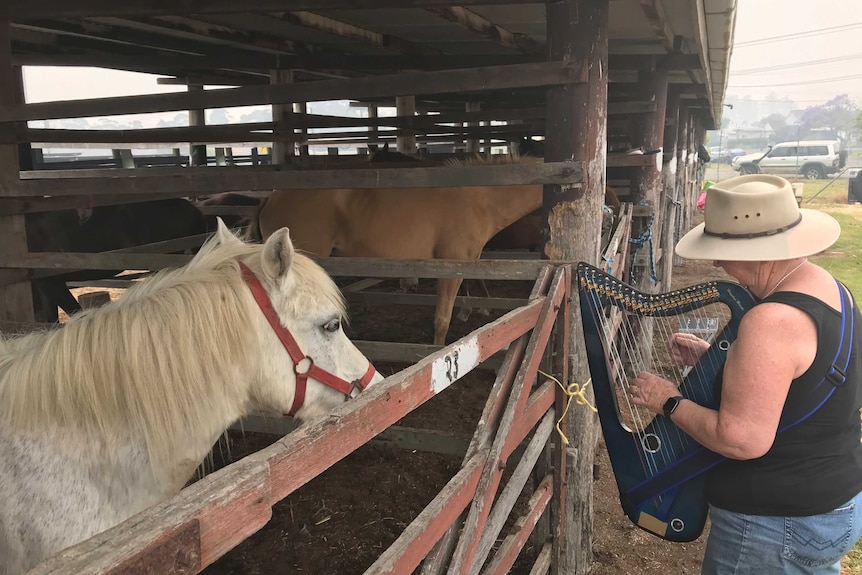 A woman in a wide-brimmed hat, singlet top and jeans, stands playing a harp to horses in a showground stable.