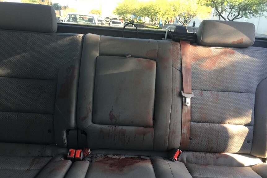 The bloody back seat of a truck.