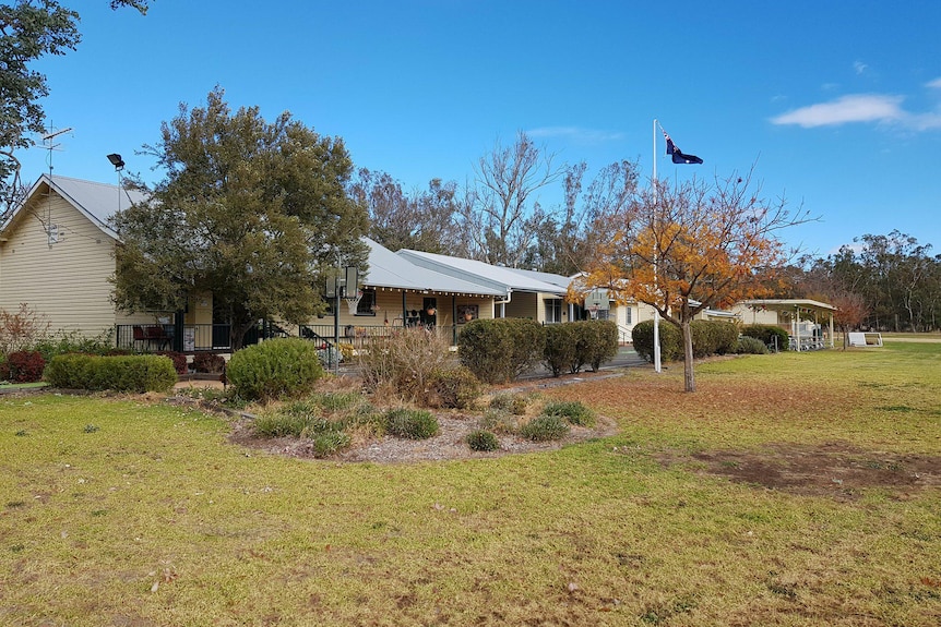 A school building behind trees and grass with a flagpole.