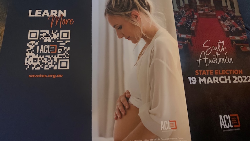 A woman with a pregnant belly on a blue brochure