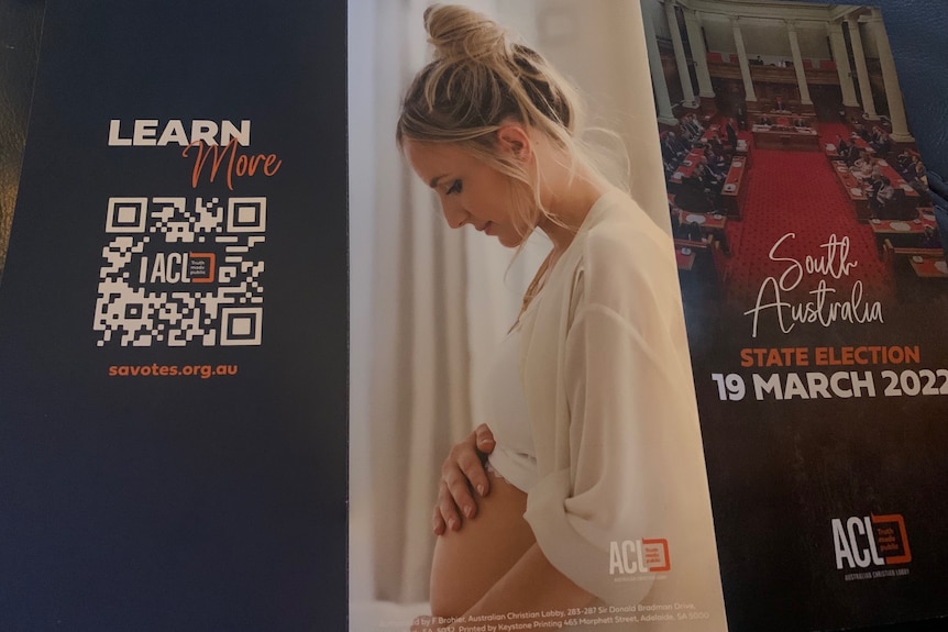 A woman with a pregnant belly on a blue brochure